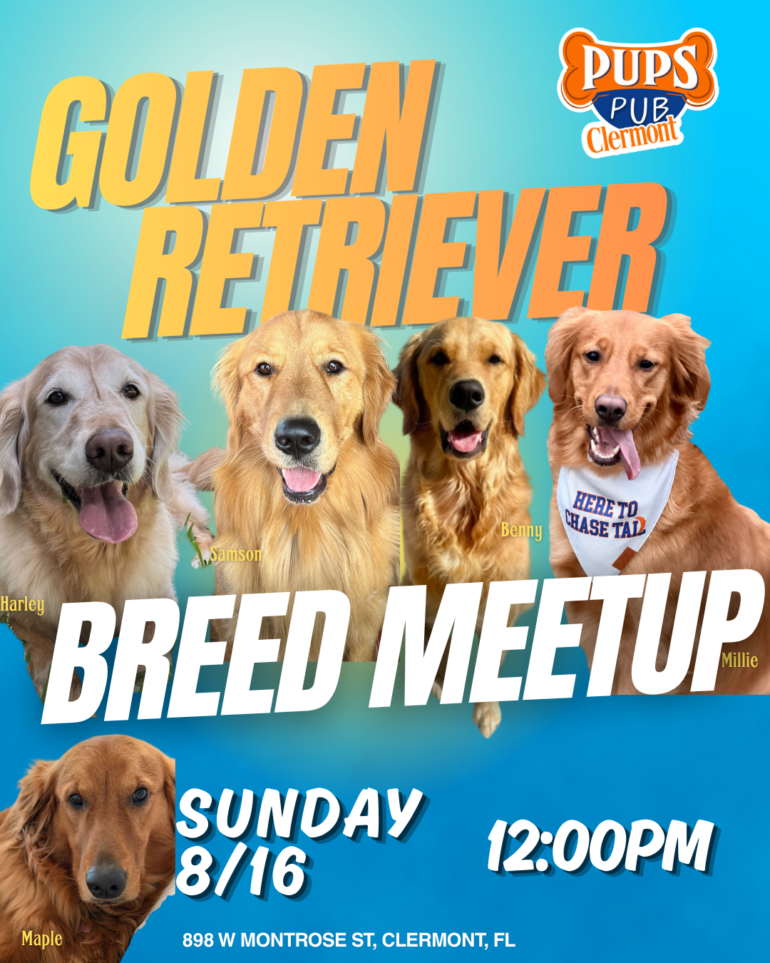 Golden Retriever Meetup